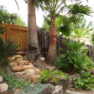 Bob’s Tropical Backyard