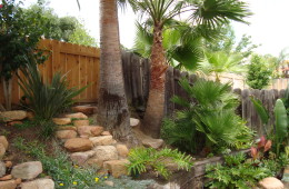 Bob’s Tropical Backyard