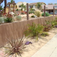 North Park Xeriscape Design