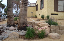 Pacific Beach Xeriscape with Beach Rock