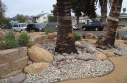 Pacific Beach Xeriscape with Beach Rock