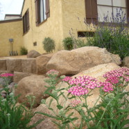 Xeriscape