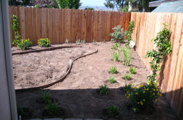 Plant Design Install with 4″ Turf Border