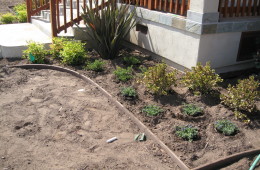 Plant Design Install with Trex 4″ Border