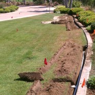 Trenching for Irrigation Retrofit