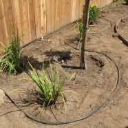 Irrigation Drip Line