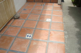 Saltillo Tile Design