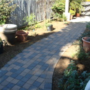 Paver Walkway