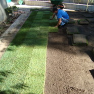 Sod Installation