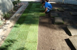 Sod Installation