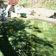 Sod Installation