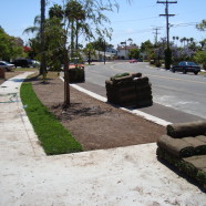 Sod Installation