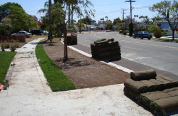 Sod Installation