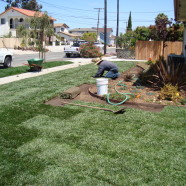 Sod Installation