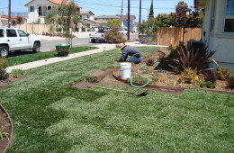 Sod Installation