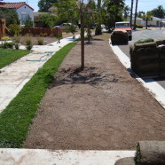 Sod Installation