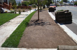 Sod Installation