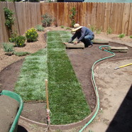 Sod Installation