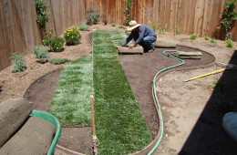 Sod Installation