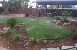 Backyard Design 3