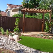 Backyard Design 7