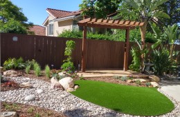 Backyard Design 7