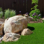 Backyard Design 9